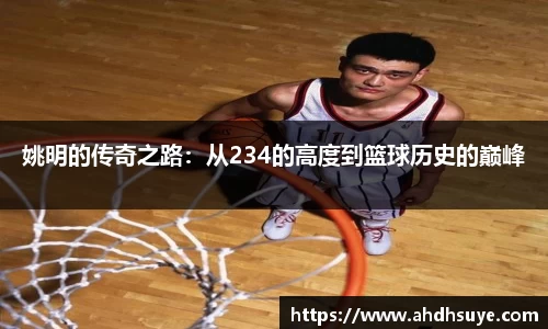 yy易游体育
