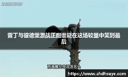 雷丁与彼德堡激战正酣谁能在这场较量中笑到最后